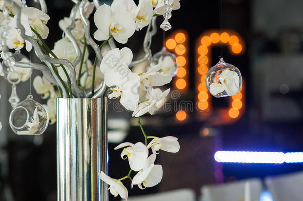 兰花的枝条插在银色花瓶里