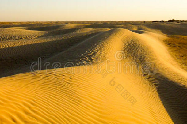 非洲沙漠沙丘森林自然
