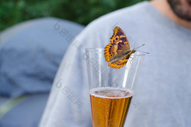 蝴蝶喝起泡酒水平