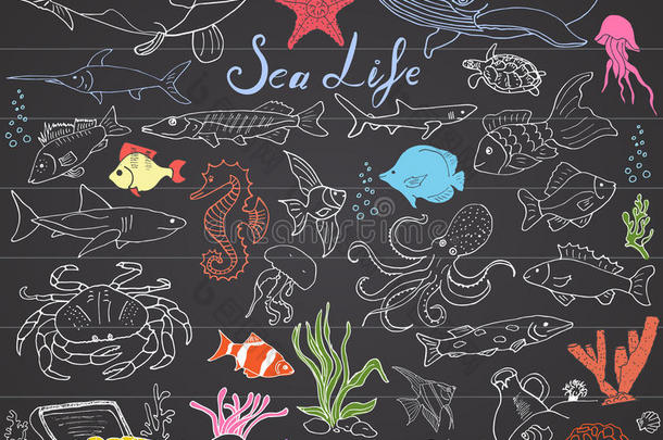 大海生活动物手绘草图一套。 鱼，鲨鱼，章鱼，海星和螃蟹，鲸鱼和海龟，海马和海马