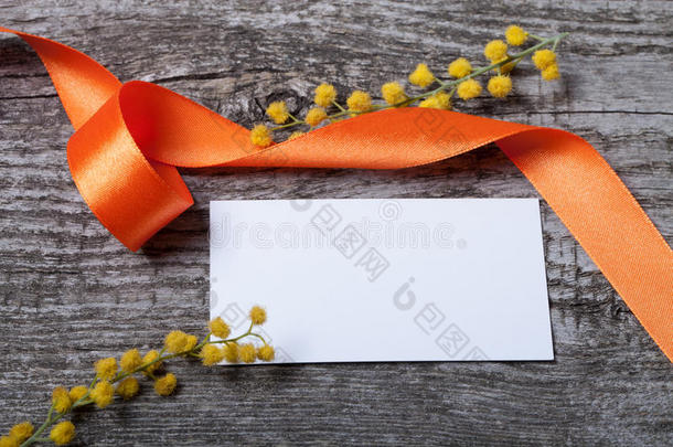 新鲜的含羞草与白色名片和橙色紧密相连