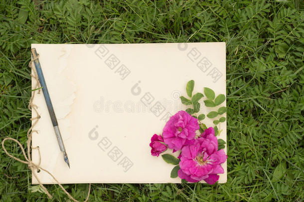 手<strong>工笔</strong>记垫与花和叶子的野生玫瑰