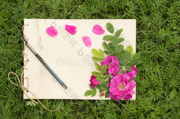 手工笔记垫与花和叶子的野生玫瑰