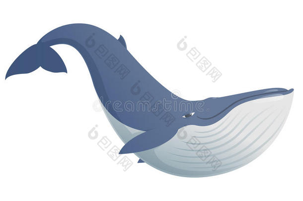 可爱有趣的蓝鲸
