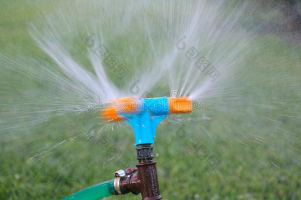 蓝色和橙色洒水草。 花园灌溉系统浇水草坪。 花园喷头的特写图像