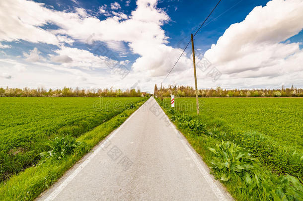 乡村公路穿过绿色的田野
