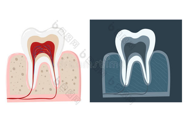 牙科护理平面装饰图标设置与口腔医生工具口腔医生。