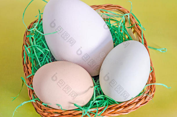 收集鸡蛋，大<strong>白鹅</strong>蛋，浅绿色鸭蛋，浅棕色鸡蛋，带草的棕色篮子，黄色