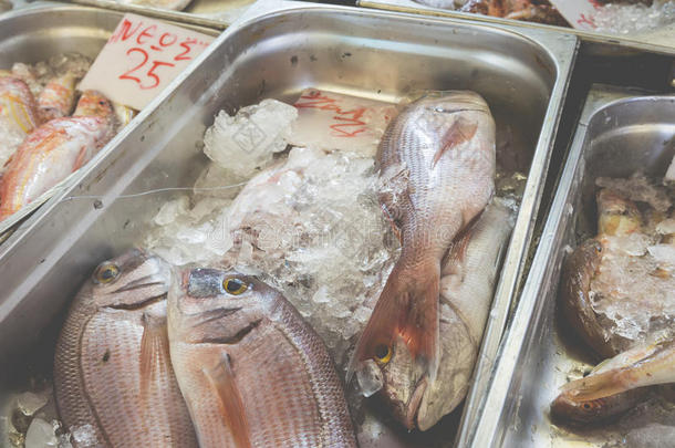 鱼类市场上的新鲜鱼类-希腊
