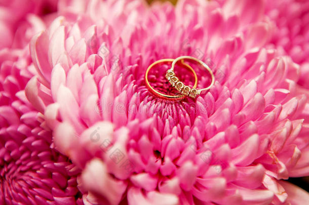 漂亮闪亮的结婚戒指，粉红色的花上有钻石。