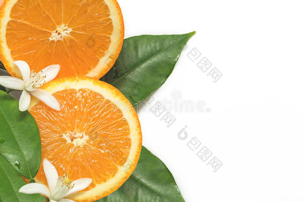 新鲜的橙色切片与叶子和开花分离在白色背景