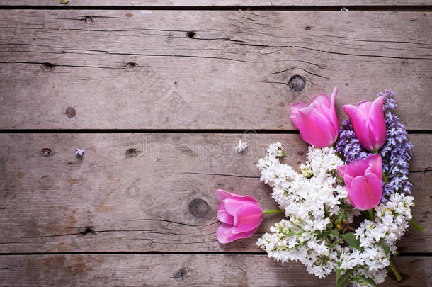 背景有新鲜芳香的丁香和粉红色郁金香花