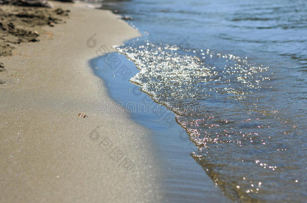 蓝色柔波在沙滩上，在夏天阳光明媚的日子里有贝壳