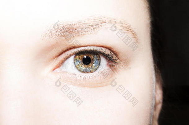 美丽的洞察力，蓝色的绿色棕色女人`眼睛