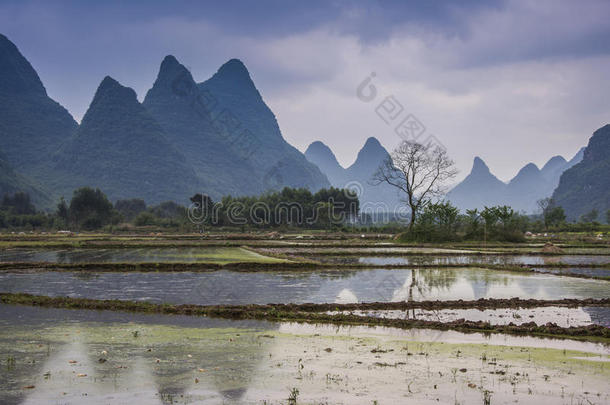 春天美丽的喀斯特乡村风景