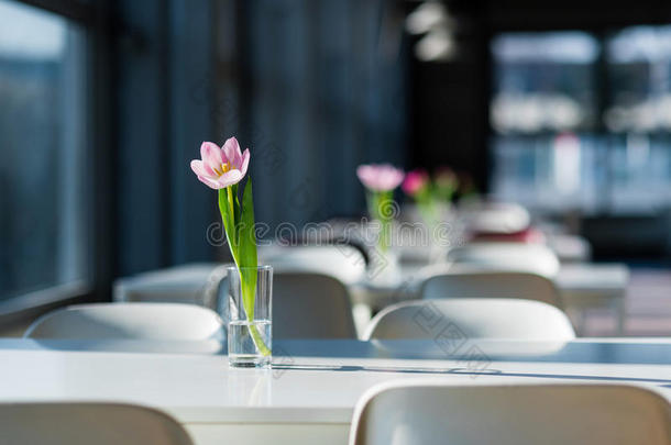 桌子上的花。 公共食品法庭花瓶里的郁金香。 <strong>学校食堂</strong>装饰鲜花。