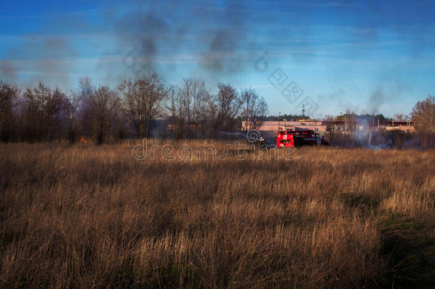 消防车扑灭森林火灾。 消防队员要灭火