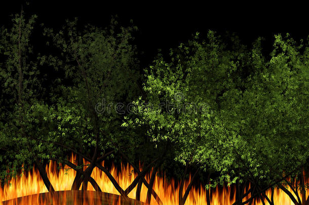 三维插图森林火灾燃烧，丛林火灾，野火特写在夜间。 野火是一个地区不受控制的火灾
