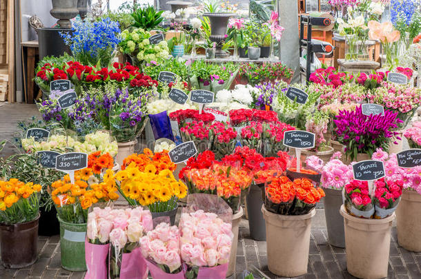 荷兰<strong>花卉市场</strong>出售，阿姆斯特丹，荷兰