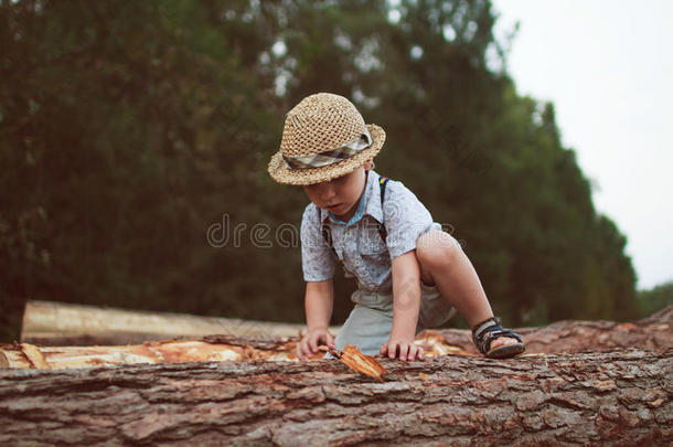 男孩继续伐木
