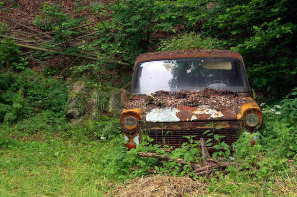 大自然中的汽车残骸