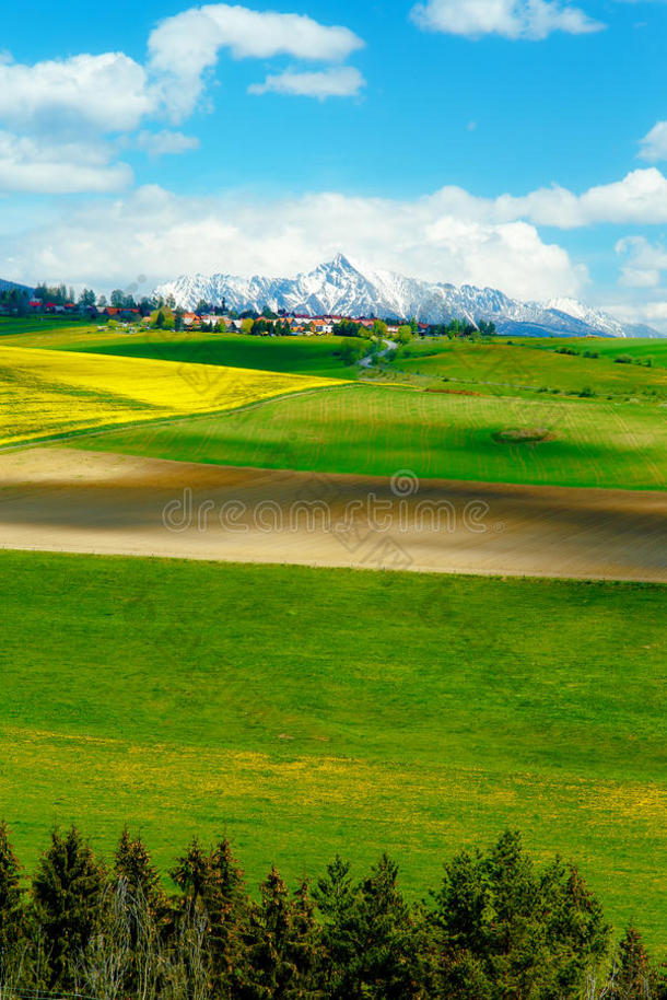 美丽的景观绿色和黄色的草地田野和雪山和村