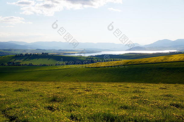 美丽的景观绿色和黄色的草地和湖泊背景是山