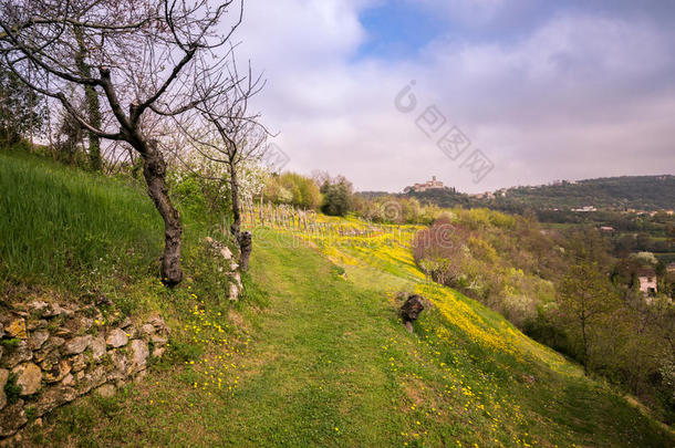意大利山丘上盛开的春天。