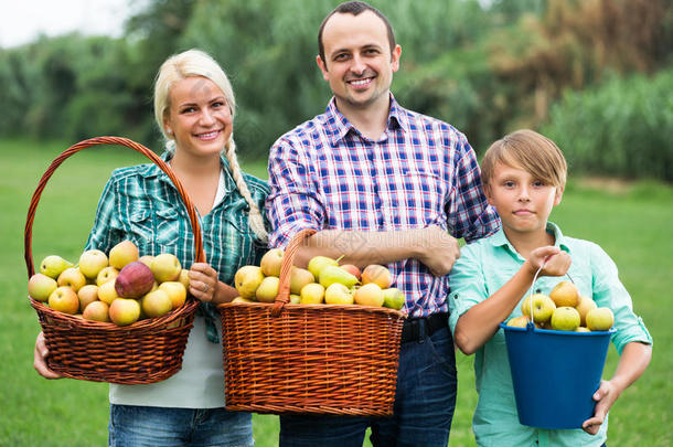 家庭在花园里收获苹果