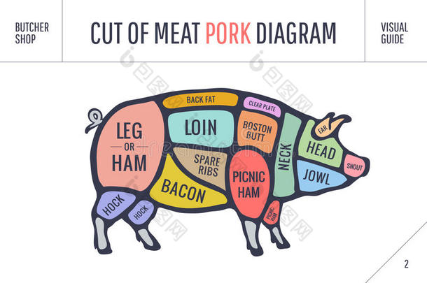 切肉套装。 海报屠夫图，方案和指南-猪肉。