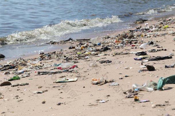 海滩概念生态学废水环境的