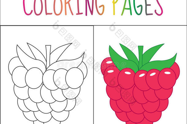 着色书页面。 覆盆子。 草图和颜色版本。 给孩子着色。 矢量插图