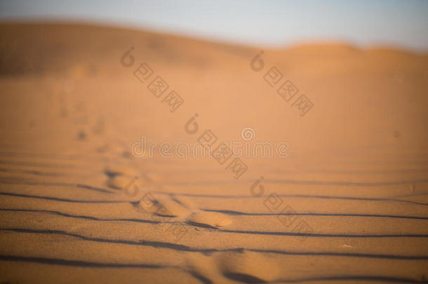 沙漠里的脚步声
