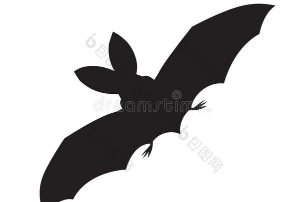 动物蝙蝠黑色简洁的爱普生