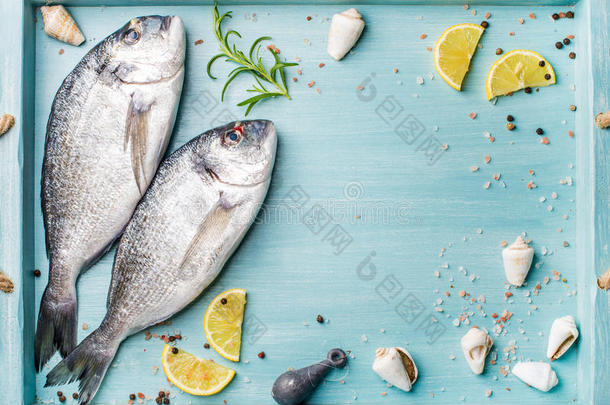 新鲜生海鲷鱼<strong>装饰柠檬片</strong>，草药和贝壳在蓝色托盘，复制空间