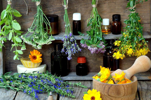 愈合草药-薄荷，雅罗，薰衣草，三叶草，牛膝草，三叶草，灰浆与花金盏和瓶子，