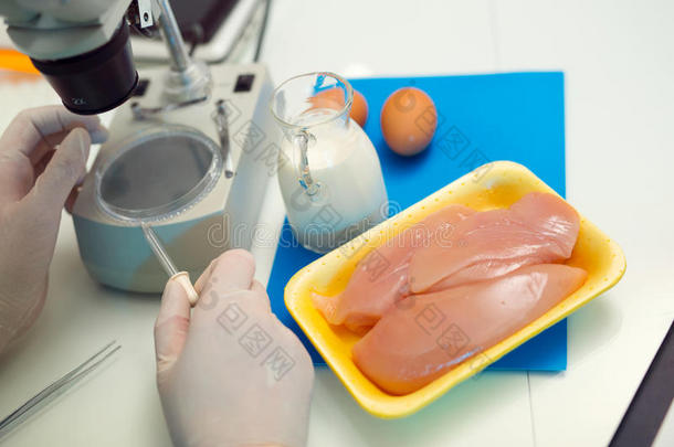 食品质量控制专家在肉类标本上进行检查