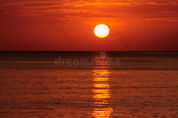 海滩盐水日光海湾假日