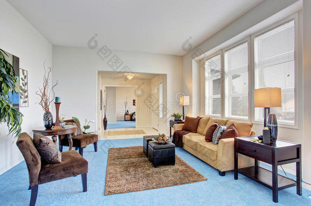舒适的现代客厅，蓝色地毯地板