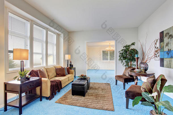 舒适的现代客厅，蓝色地毯地板
