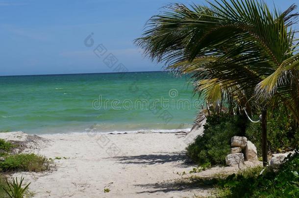 海滩和海洋全景墨西哥