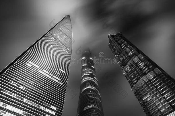 上海摩天大楼的黑白在上海的夜晚