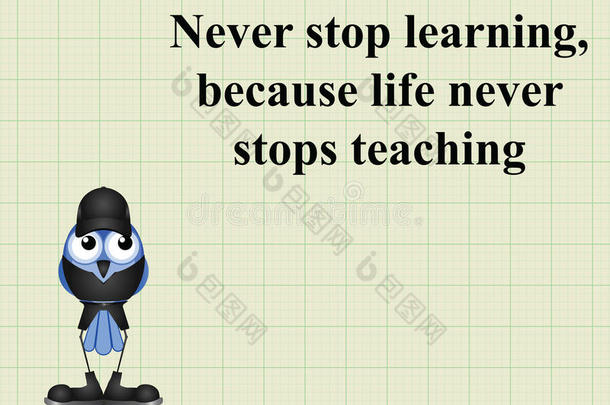 永远不要停止学习