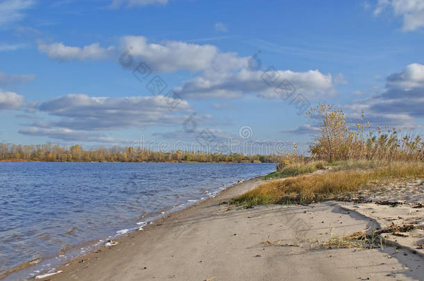 大河沙岸的秋天景观。