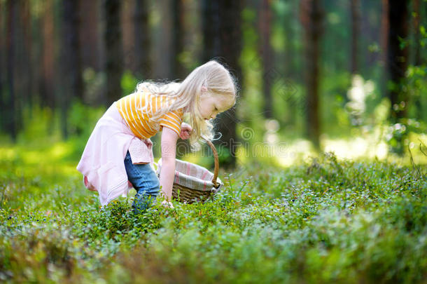 可爱的小女孩在森林里摘狐狸莓