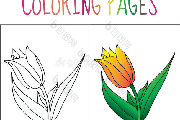 着色书页，花，郁金香。 草图和颜色版本。 给孩子着色。 矢量插图