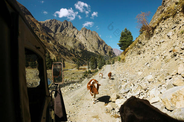 在公路旅行期间，从吉普车上看到美丽的山景