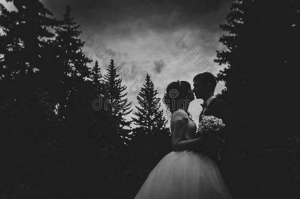 黑白照片新娘新郎剪影亲吻自然背景