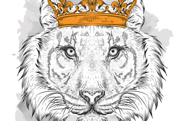 手画肖像老虎在皇冠上。 用于印刷，海报，t<strong>恤</strong>。 <strong>手绘</strong>矢量插图