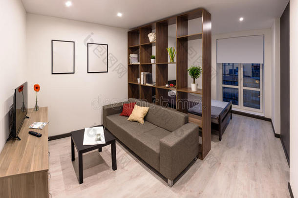 公寓建筑学安慰当代的沙发
